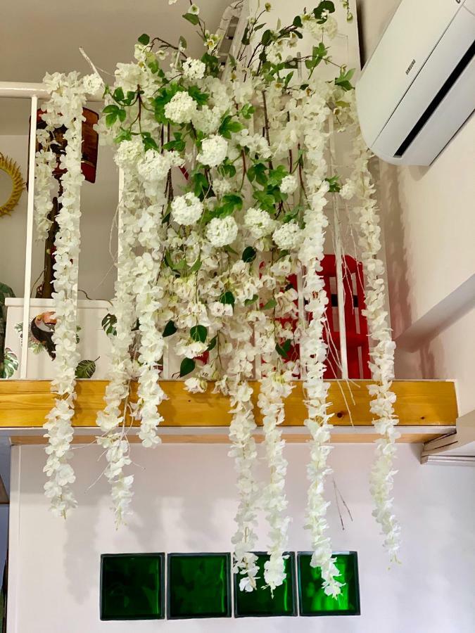 La Finestrella Dell'Arte Un Orizzonte Da Guardare Apartment อันซีโอ ภายนอก รูปภาพ